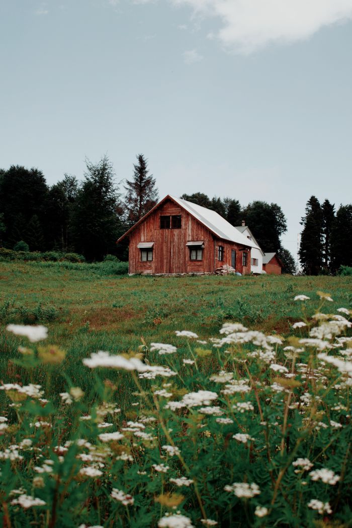 A tranquil scene of a wooden barn in a lush green countryside field, surrounded by trees and flowers.