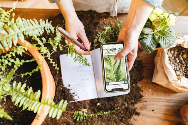 garden-notebook-phone